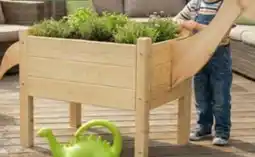 Pflanzen Kölle Hochbeet für Kinder Angebot