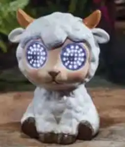 Pflanzen Kölle Solar-Schaf klein Angebot