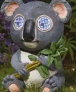Pflanzen Kölle Solar-Koala Angebot