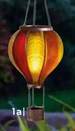 Pflanzen Kölle Heißluftballon-Regenbogen Angebot