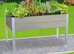 Pflanzen Kölle Kölle Hochbeet Elias Angebot