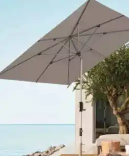 Pflanzen Kölle Knirps Kurbelschirm Apoll Angebot