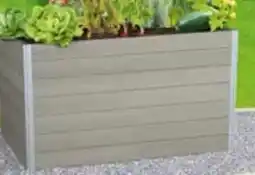 Pflanzen Kölle Kölle Hochbeet Petit Mateo Angebot