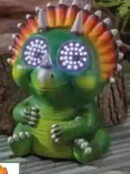 Pflanzen Kölle Solar-Baby Dino Angebot