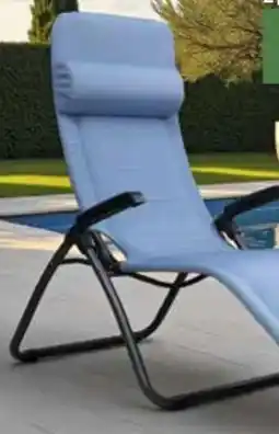 Pflanzen Kölle Sungörl Bäderliege Phönix Angebot