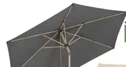 Pflanzen Kölle Schneider Schirme Sonnenschirm Cordoba Angebot