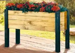 Pflanzen Kölle Hochbeet Puzzle Angebot