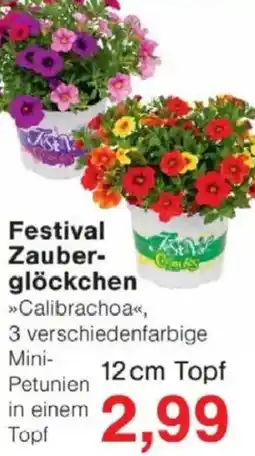 Jawoll Festival Zauberglöckchen Angebot