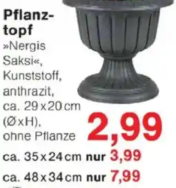 Jawoll Pflanztopf Angebot