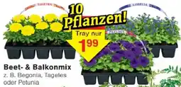 Jawoll Beet & Balkonmix Angebot