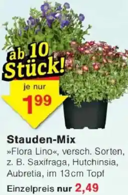 Jawoll Stauden-Mix Angebot