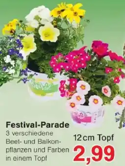 Jawoll Festival-Parade Angebot