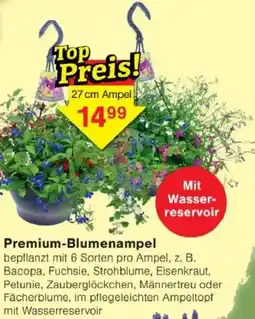 Jawoll Premium-Blumenampel Angebot