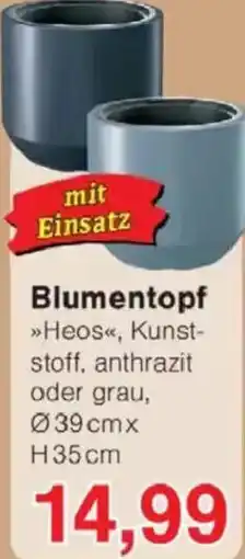 Jawoll Blumentopf Angebot