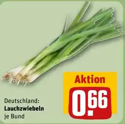 REWE Lauchzwiebeln Angebot