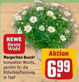 REWE REWE Beste Wahl Margeriten Busch Angebot