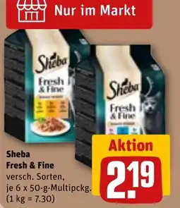 REWE Sheba Fresh & Fine Angebot