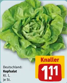 REWE Kopfsalat Angebot