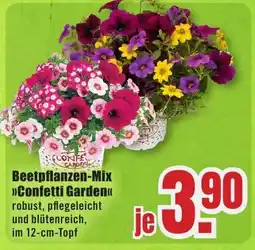 B1 Discount Baumarkt Beetpflanzen-Mix >>Confetti Garden<< Angebot