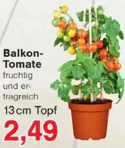 Jawoll Balkon Tomate Angebot