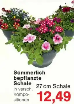 Jawoll Sommerlich bepflanzte Schale Angebot