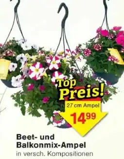 Jawoll Beet und Balkonmix-Ampel Angebot