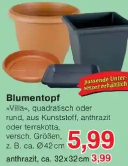 Jawoll Blumentopf Angebot