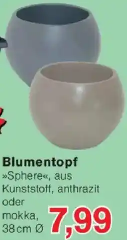 Jawoll Blumentopf Angebot