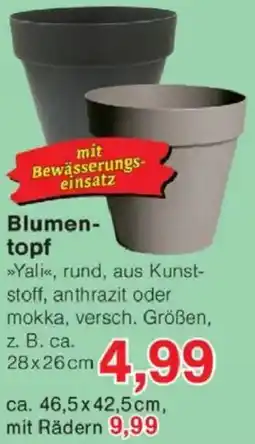 Jawoll Blumentopf Angebot