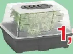 Jawoll Indoor Gewächshaus Angebot