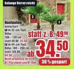 B1 Discount Baumarkt Hanfpalme Angebot