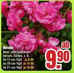 B1 Discount Baumarkt Rosen Angebot