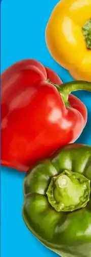 Aldi Süd Paprika Mix Angebot