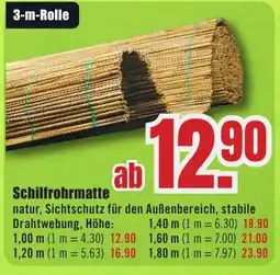 B1 Discount Baumarkt Schilfrohrmatte Angebot