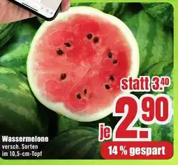 B1 Discount Baumarkt Wassermelone Angebot