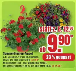 B1 Discount Baumarkt Sommerblumen-Ampel Angebot