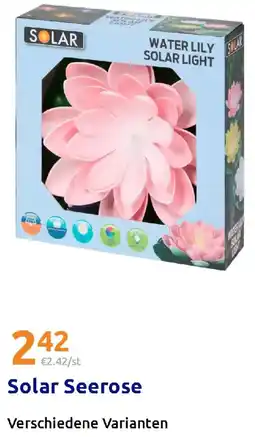 Action Solar Seerose Angebot