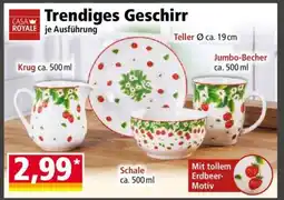 Norma Trendiges Geschirr Angebot