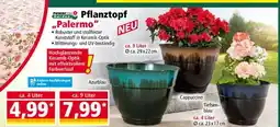 Norma Pflanztopf „Palermo“ Angebot