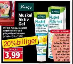 Norma Muskel Aktiv Gel Angebot