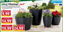 Norma Pflanztopf „Surf“ Angebot