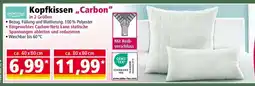 Norma Kopfkissen „Carbon“ Angebot