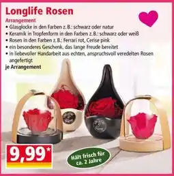 Norma Longlife Rosen Angebot
