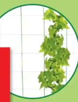 Thomas Philipps Metall-Blumenspalier Angebot