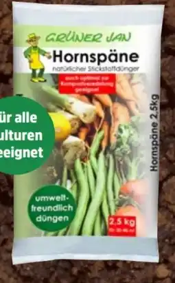 Thomas Philipps Grüner Jan Hornspäne Angebot