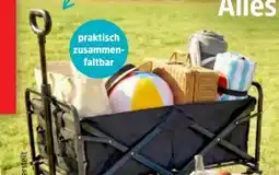 Thomas Philipps Bollerwagen Angebot