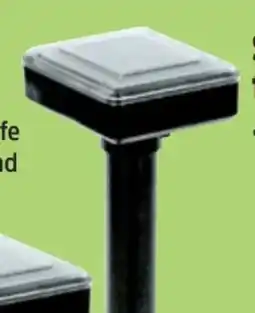 Thomas Philipps Solar Mäuse-Maulwurfschreck Angebot