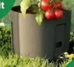 Thomas Philipps Pflanztopf mit Rankhilfe Angebot