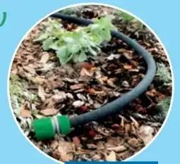 Thomas Philipps Grüner Jan Perlschlauch Angebot