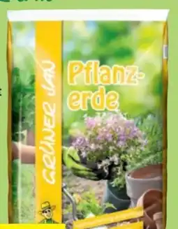 Thomas Philipps Grüner Jan Pflanzerde Angebot